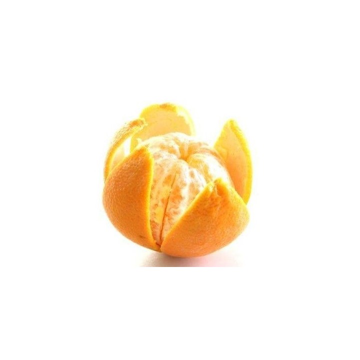 Nóż do obierania cytrusów