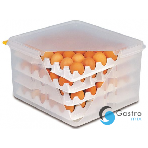Pojemnik na jajka w komplecie z 8 tackami | T-8023 TOM-GAST 