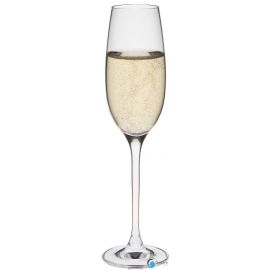 Kieliszek 150ml do szampana Edition| 60500700 FINE DINE