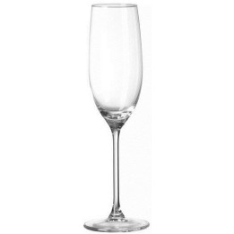 Kieliszek 210ml do szampana Cantare | 781937 FINE DINE