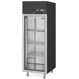 Szafa mroźnicza 650 L Linia 650 z drzwiami szklanymi 695x810x2020 mm | AHK MT065S 0V1 RILLING