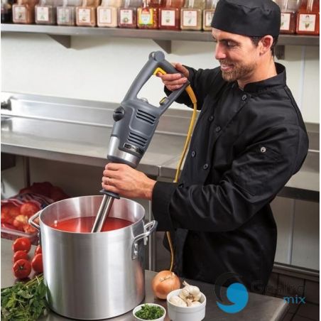 Mikser zanurzeniowy HMI012-CE BigRig™ 780x216 mm, Hamilton Beach Commercial | HMI012-CE FINE DINE 