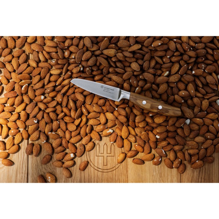 Nóż do warzyw 9/20,6 cm AMICI - WÜSTHOF  | W-1011300409 TOM-GAST