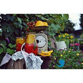  Słoik TULIP 1750 ml z pokrywą - op. 4 szt - WECK | WE-738-100P TOM-GAST