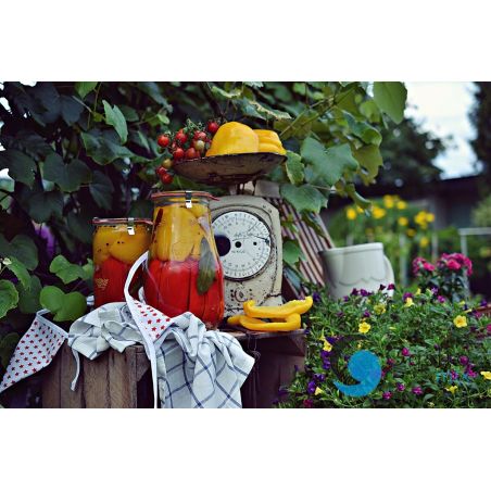 Słoik TULIP 1750 ml z pokrywą - op. 4 szt - WECK | WE-738-100P TOM-GAST 