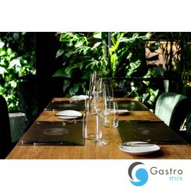  Szklanka 500 ml SENSA – SCHOTT ZWIESEL | SH-8890-42-6 TOM-GAST