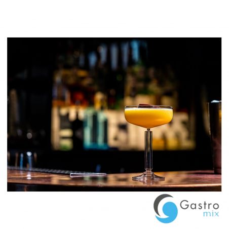 Kieliszek Coupe 290 ml MODERN AMERICA - Onis / Libbey | ON-16041-6 TOM-GAST 