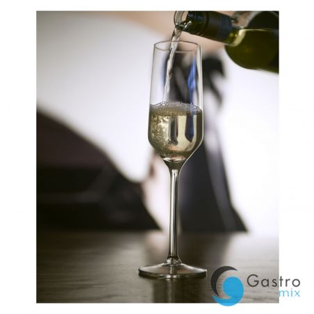 Kieliszek do szampana 220 ml CARRE - Onis / Libbey| RL-265446-6  TOM-GAST 