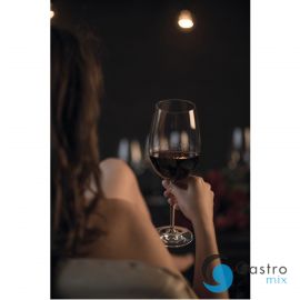  Kieliszek do wina Bordeaux Goblet 760 ml DIVA - SCHOTT ZWIESEL | SH-8015-130-6 TOM-GAST