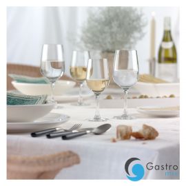  Kieliszek 621 ml CONGRESSO – SCHOTT ZWIESEL | SH-8608-130-6 TOM-GAST