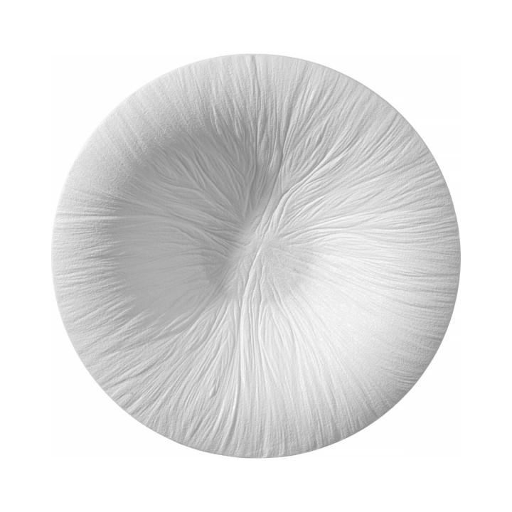 Talerz do pasty Fiord 290mm | 788554 fine dine