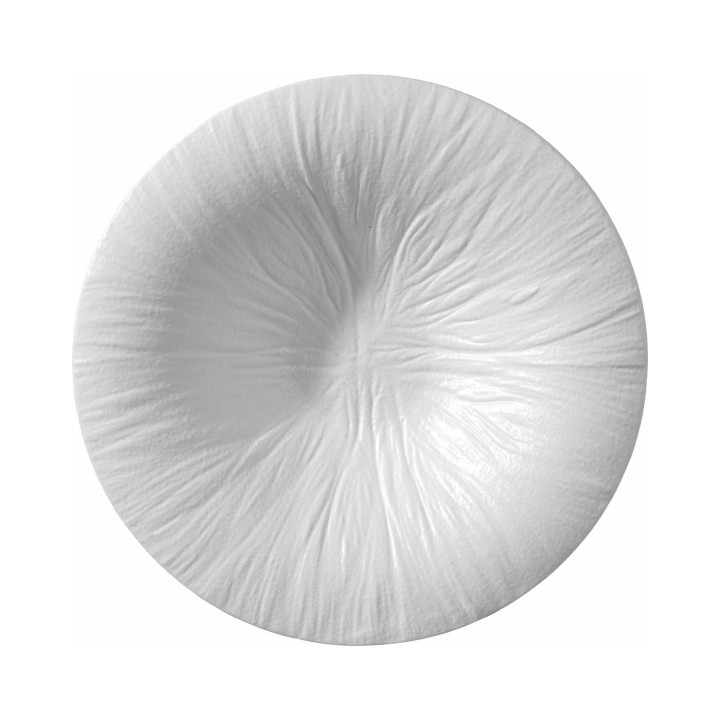 Talerz do pasty Fiord 250mm | 788530 FINE DINE