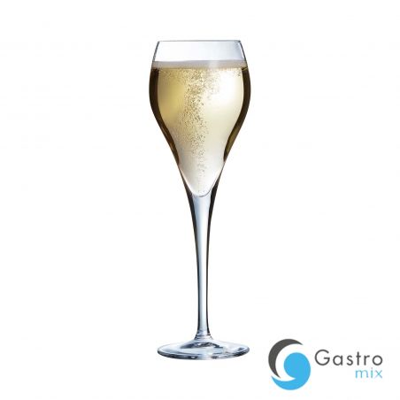 Kieliszek 160 ml do szampana Brio Flute | J1478 FINE DINE 