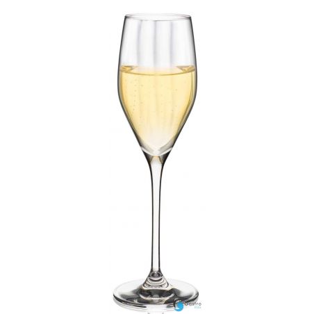 Kieliszek do szampana Favourite Optical, 170ml | 7361/1P170 fine dine 