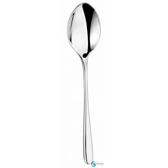 Łyżka stołowa LUI - VERLO|  V-5000-2-12 TOM-GAST 