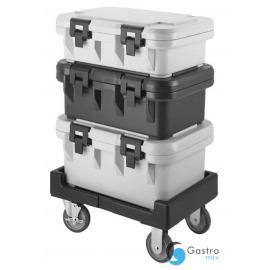 Termos na żywność GN 1/1 100 | UPCS140/480 ALVA