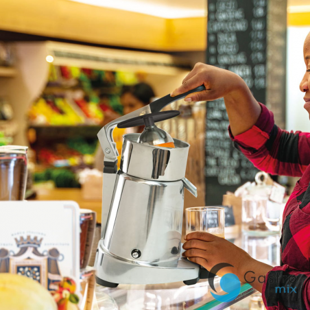 CEADO Wyciskarka do cytrusów elektryczna 250W  | SL98 ALVA 