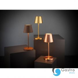  MERLE rdzawa lampa stołowa LED do wielokrotnego ładowania, Ø11 x 30,5 cm   | 17009  ALVA