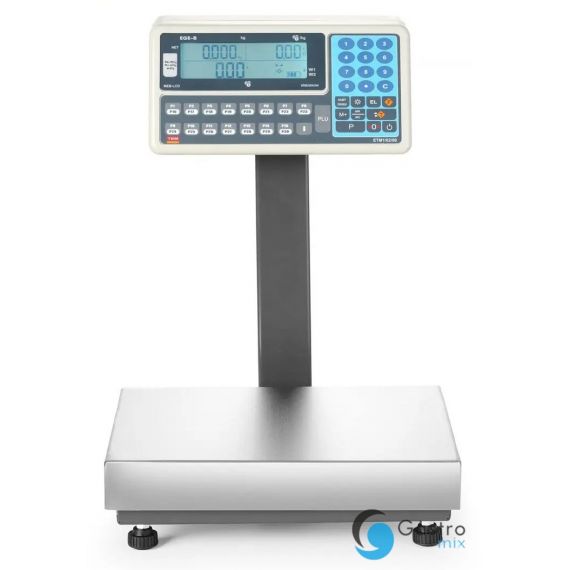 Waga platformowa LCD z wysięgnikiem i z legalizacją, 60 kg, TEM, 342x386x(H)499mm |... 