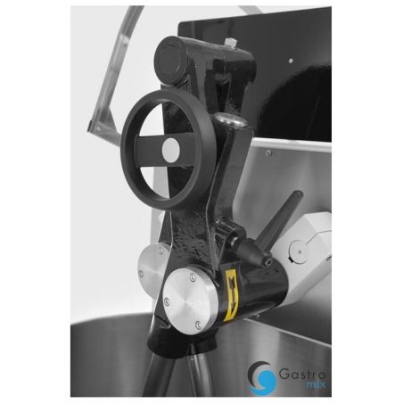 Mixer Twin arms 50 kg | MFIT50/P grafen 