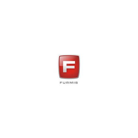 Furmis